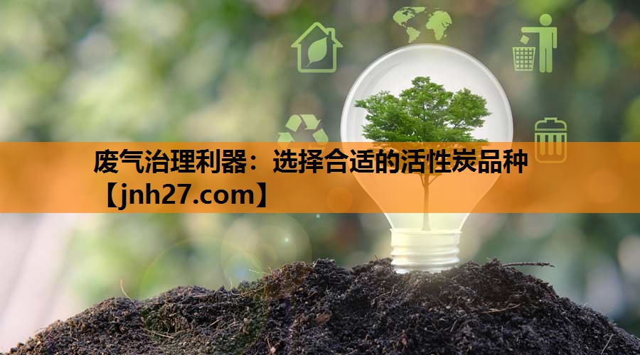 废气治理利器：选择合适的活性炭品种