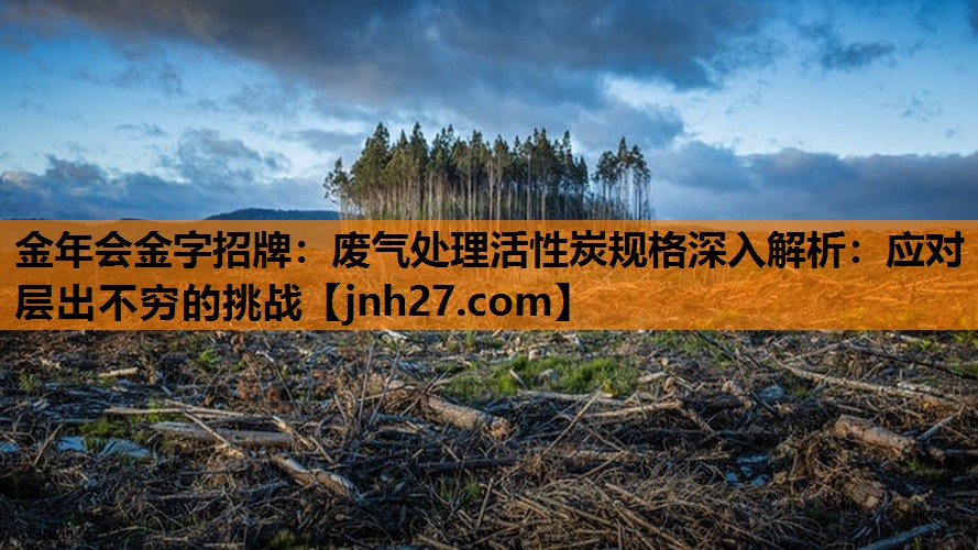 金年会金字招牌：废气处理活性炭规格深入解析：应对层出不穷的挑战