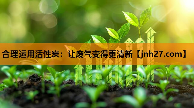 合理运用活性炭：让废气变得更清新