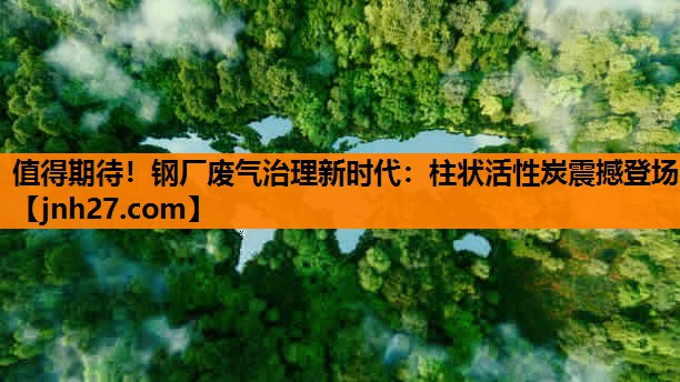 值得期待！钢厂废气治理新时代：柱状活性炭震撼登场