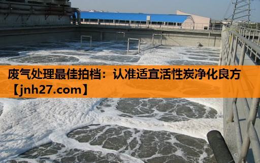 废气处理最佳拍档：认准适宜活性炭净化良方