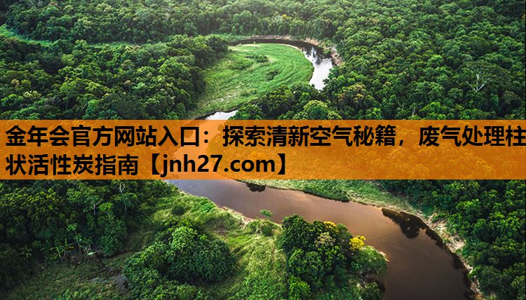 <strong>金年会官方网站入口：探索清新空气秘籍，废气处理柱状活性炭指南</strong>