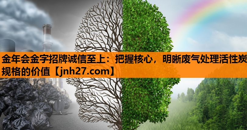 把握核心，明晰废气处理活性炭规格的价值
