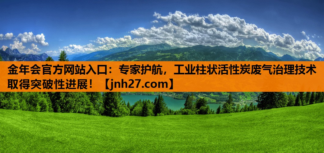 专家护航，工业柱状活性炭废气治理技术取得突破性进展！