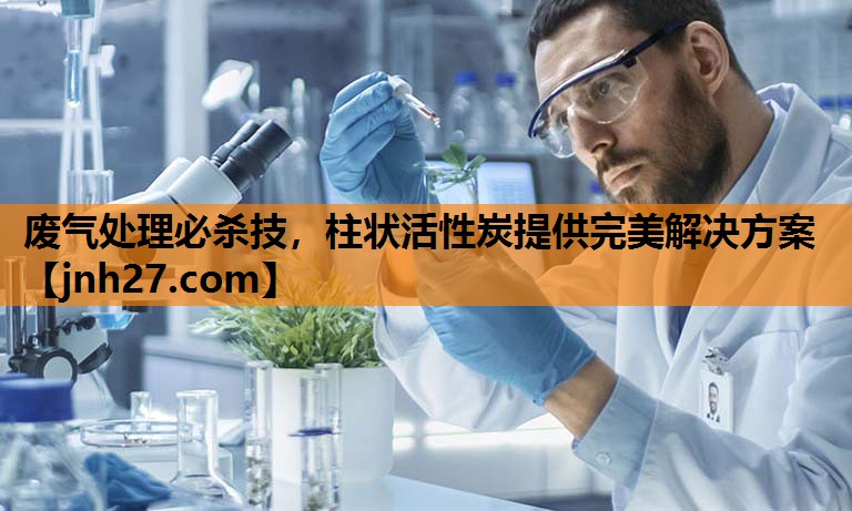 废气处理必杀技，柱状活性炭提供完美解决方案