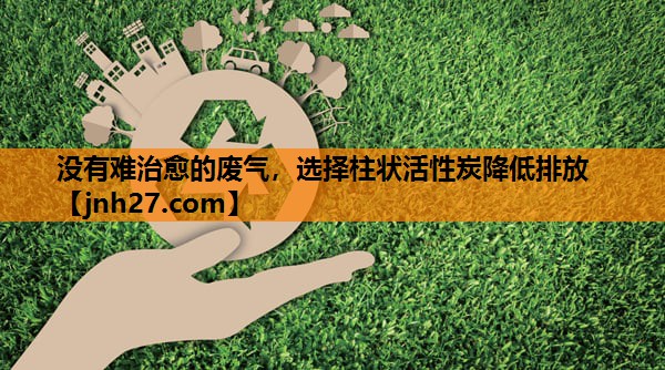 没有难治愈的废气，选择柱状活性炭降低排放