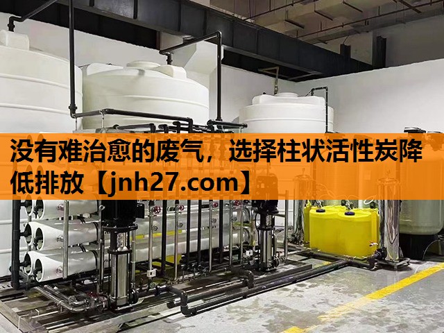 没有难治愈的废气，选择柱状活性炭降低排放