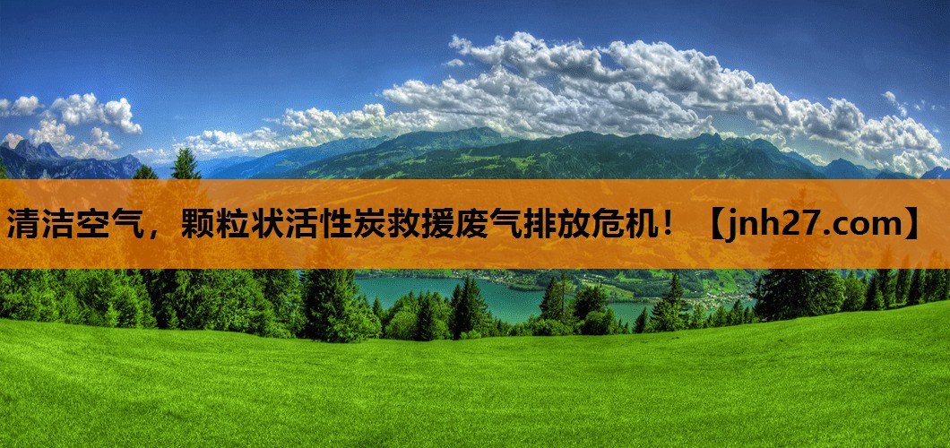 清洁空气，颗粒状活性炭救援废气排放危机！