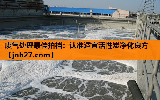 废气处理最佳拍档：认准适宜活性炭净化良方