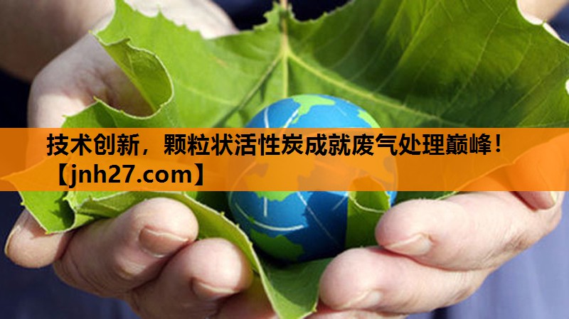 技术创新，颗粒状活性炭成就废气处理巅峰！