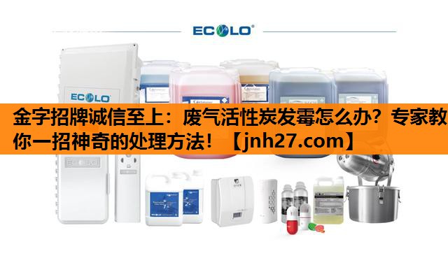 废气活性炭发霉怎么办？专家教你一招神奇的处理方法！