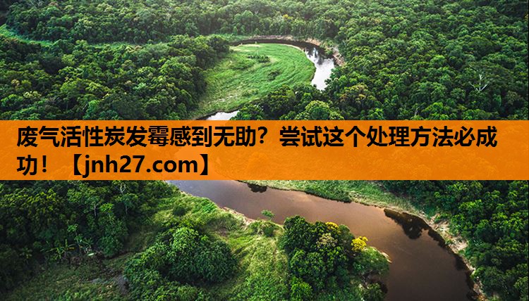 废气活性炭发霉感到无助？尝试这个处理方法必成功！