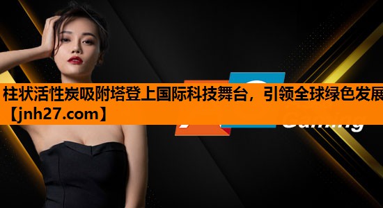 柱状活性炭吸附塔登上国际科技舞台，引领全球绿色发展